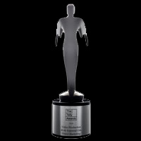 Серебряная награда Telly Awards за видеопроизводство