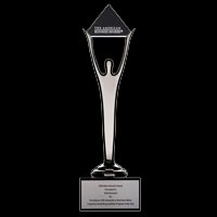 Серебряная награда Stevie Awards за корпоративную социальную ответственность