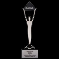 Серебряная статуэтка Stevie Awards в номинации PR